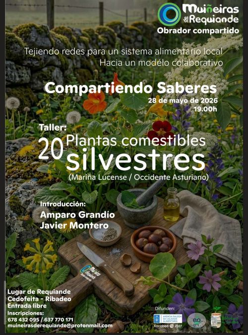 Taller de plantas salvaxes comestibles